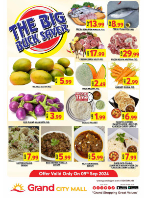 The Big Buck Saver - Grand City Mall