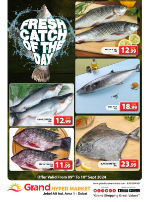 Catch of The Day - Grand Hypermarket Jebel Ali