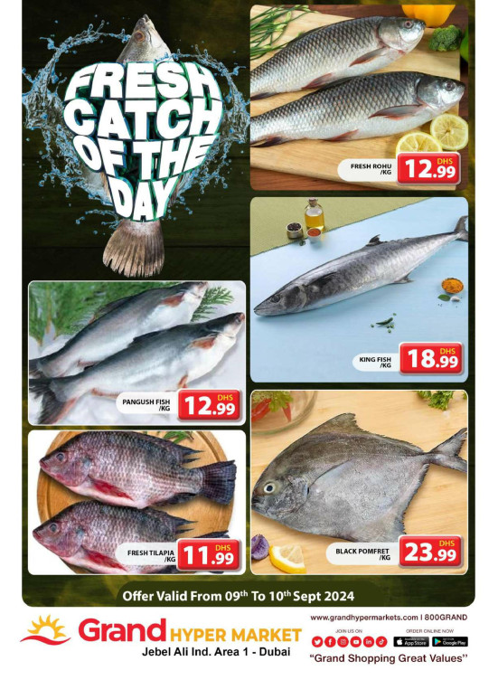 Catch of The Day - Grand Hypermarket Jebel Ali