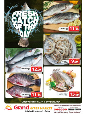 Catch of The Day - Grand Hypermarket Jebel Ali