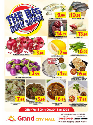 The Big Buck Saver - Grand City Mall