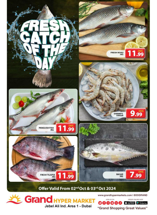 Catch of The Day - Grand Hypermarket Jebel Ali
