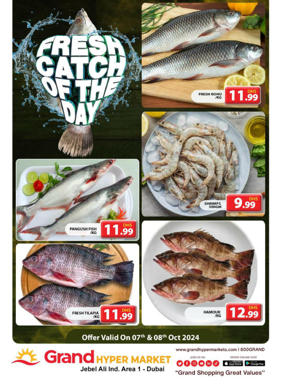 Catch of The Day - Grand Hypermarket Jebel Ali