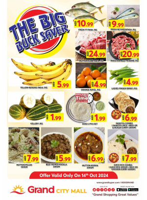 The Big Buck Saver - Grand City Mall