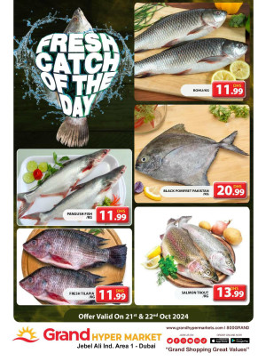 Catch of The Day - Grand Hypermarket Jebel Ali