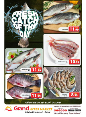 Catch of The Day - Grand Hypermarket Jebel Ali