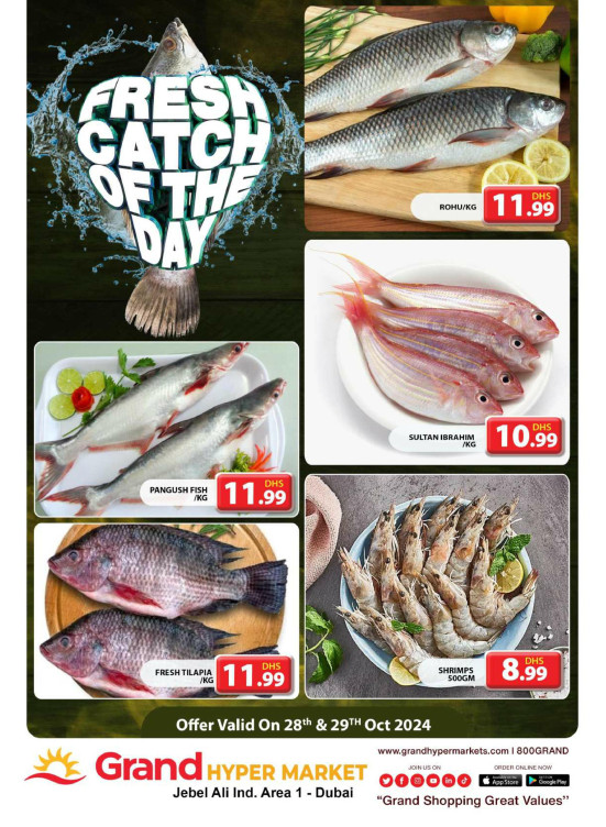Catch of The Day - Grand Hypermarket Jebel Ali