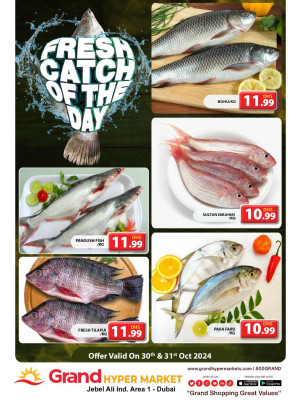 Catch of The Day - Grand Hypermarket Jebel Ali