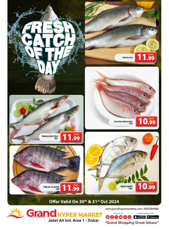 Catch of The Day - Grand Hypermarket Jebel Ali