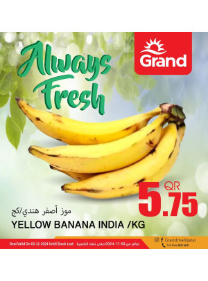 Fresh Offer