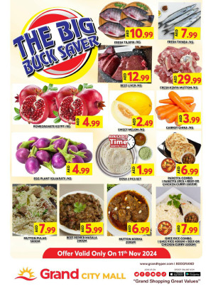 The Big Buck Saver - Grand City Mall
