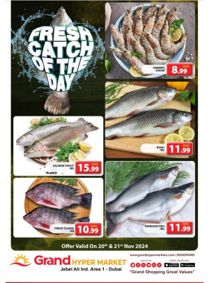 Catch of The Day - Grand Hypermarket Jebel Ali