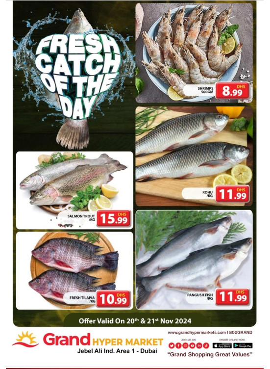 Catch of The Day - Grand Hypermarket Jebel Ali