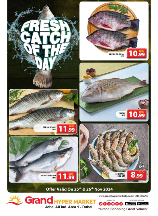 Catch of The Day - Grand Hypermarket Jebel Ali
