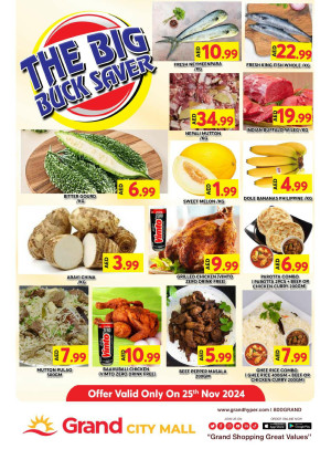 The Big Buck Saver - Grand City Mall