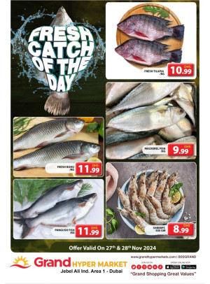 Catch of The Day - Grand Hypermarket Jebel Ali