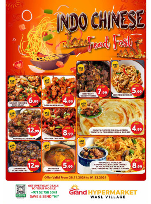 Chinese Food Fest - Wasl Village, Dubai
