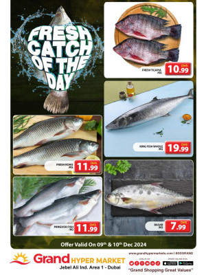 Catch of The Day - Grand Hypermarket Jebel Ali