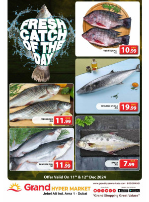 Catch of The Day - Grand Hypermarket Jebel Ali