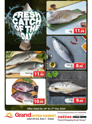Catch of The Day - Grand Hypermarket Jebel Ali