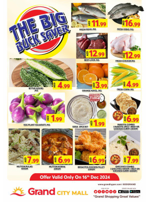 The Big Buck Saver - Grand City Mall