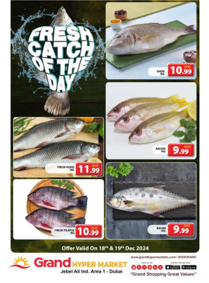 Catch of The Day - Grand Hypermarket Jebel Ali