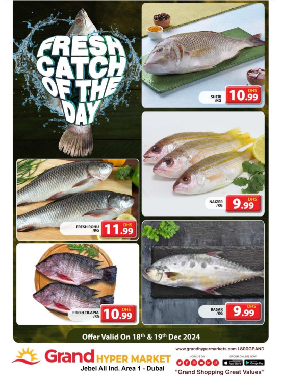 Catch of The Day - Grand Hypermarket Jebel Ali
