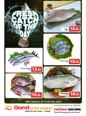 Catch of The Day - Grand Hypermarket Jebel Ali
