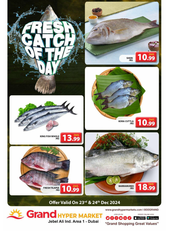 Catch of The Day - Grand Hypermarket Jebel Ali
