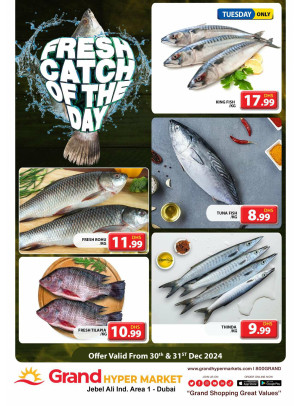 Catch of The Day - Grand Hypermarket Jebel Ali
