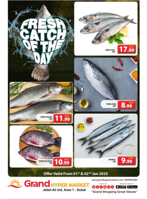 Catch of The Day - Grand Hypermarket Jebel Ali