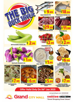 The Big Buck Saver - Grand City Mall