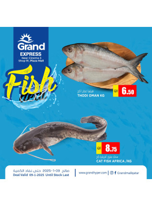 Fish Deal - Plaza Mall, Asian Town
