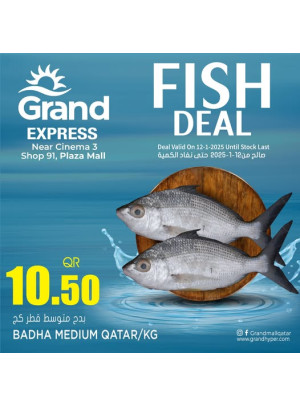 Fish Deal - Plaza Mall, Asian Town