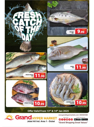Catch of The Day - Grand Hypermarket Jebel Ali