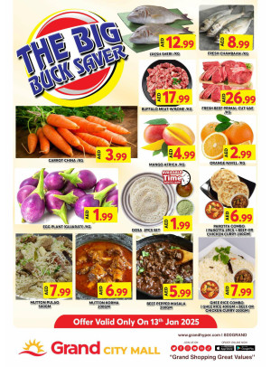 The Big Buck Saver - Grand City Mall