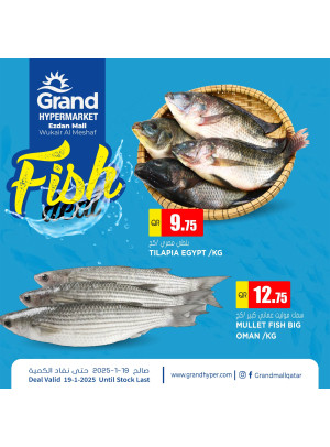 Fish Deal - Al Wukair