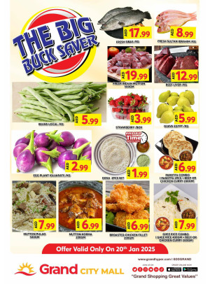 The Big Buck Saver - Grand City Mall