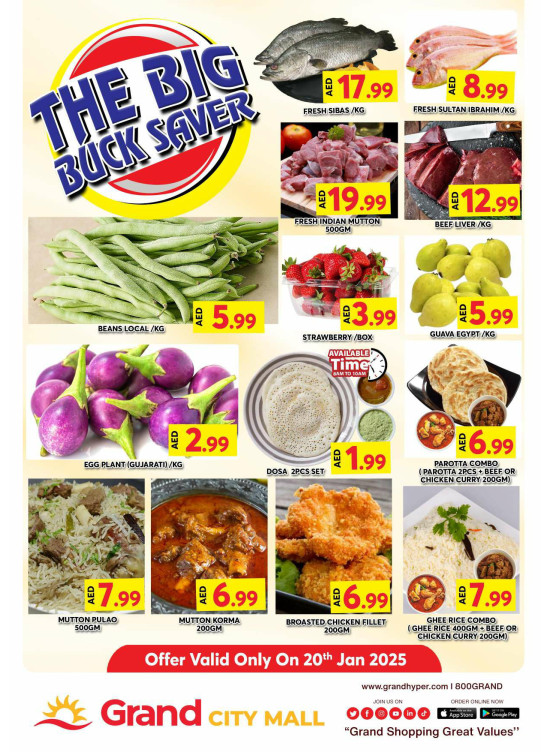 The Big Buck Saver - Grand City Mall