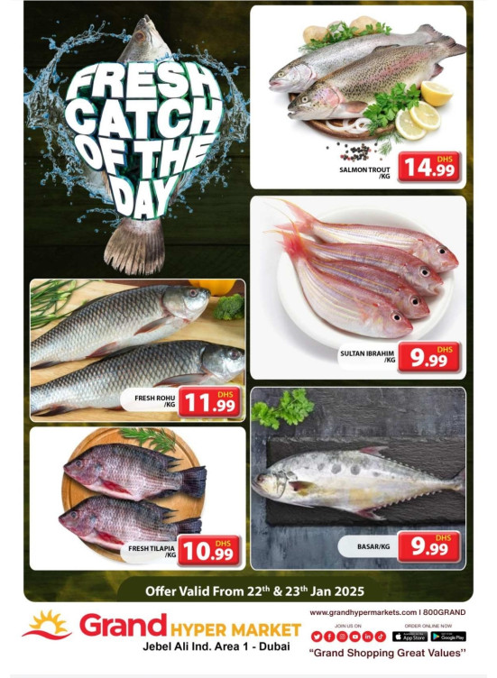 Catch of The Day - Grand Hypermarket Jebel Ali