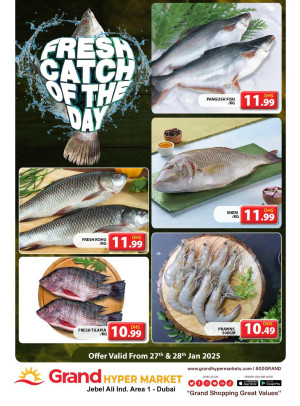 Catch of The Day - Grand Hypermarket Jebel Ali
