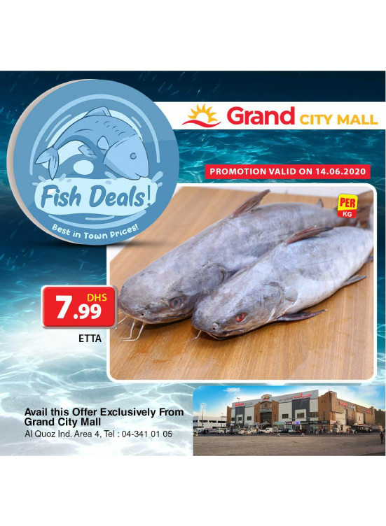 Fish Deals - Grand City Mall