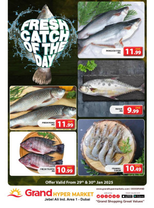 Catch of The Day - Grand Hypermarket Jebel Ali