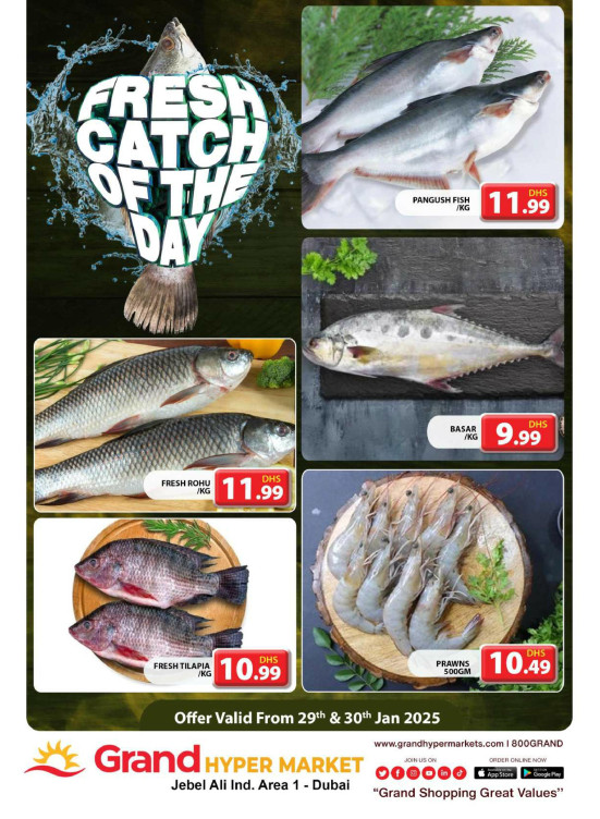Catch of The Day - Grand Hypermarket Jebel Ali
