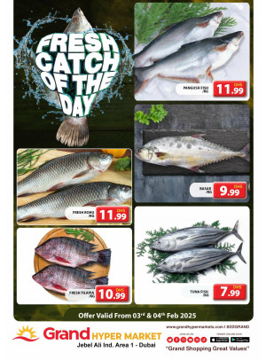 Catch of The Day - Grand Hypermarket Jebel Ali