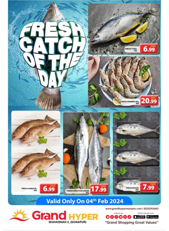Fresh Catch Of The Day - Grand Hyper Muhaisnah