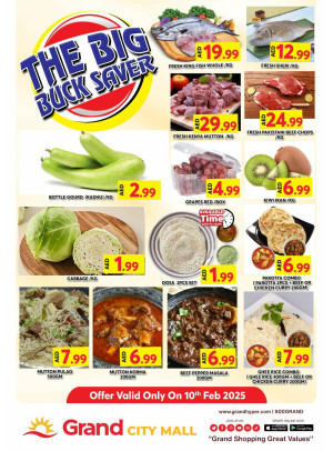 The Big Buck Saver - Grand City Mall