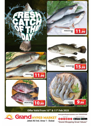 Catch of The Day - Grand Hypermarket Jebel Ali