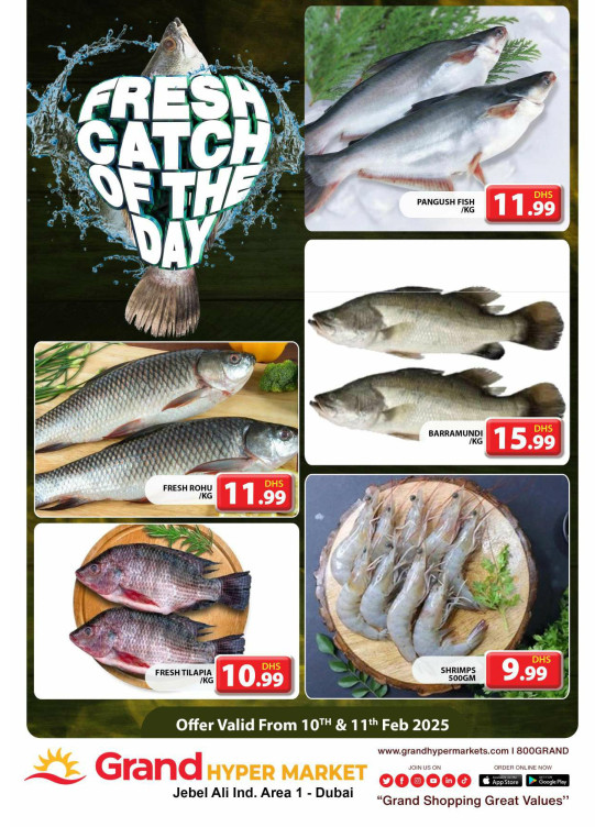 Catch of The Day - Grand Hypermarket Jebel Ali