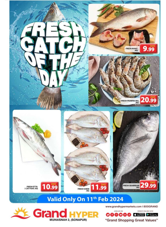 Fresh Catch Of The Day - Grand Hyper Muhaisnah